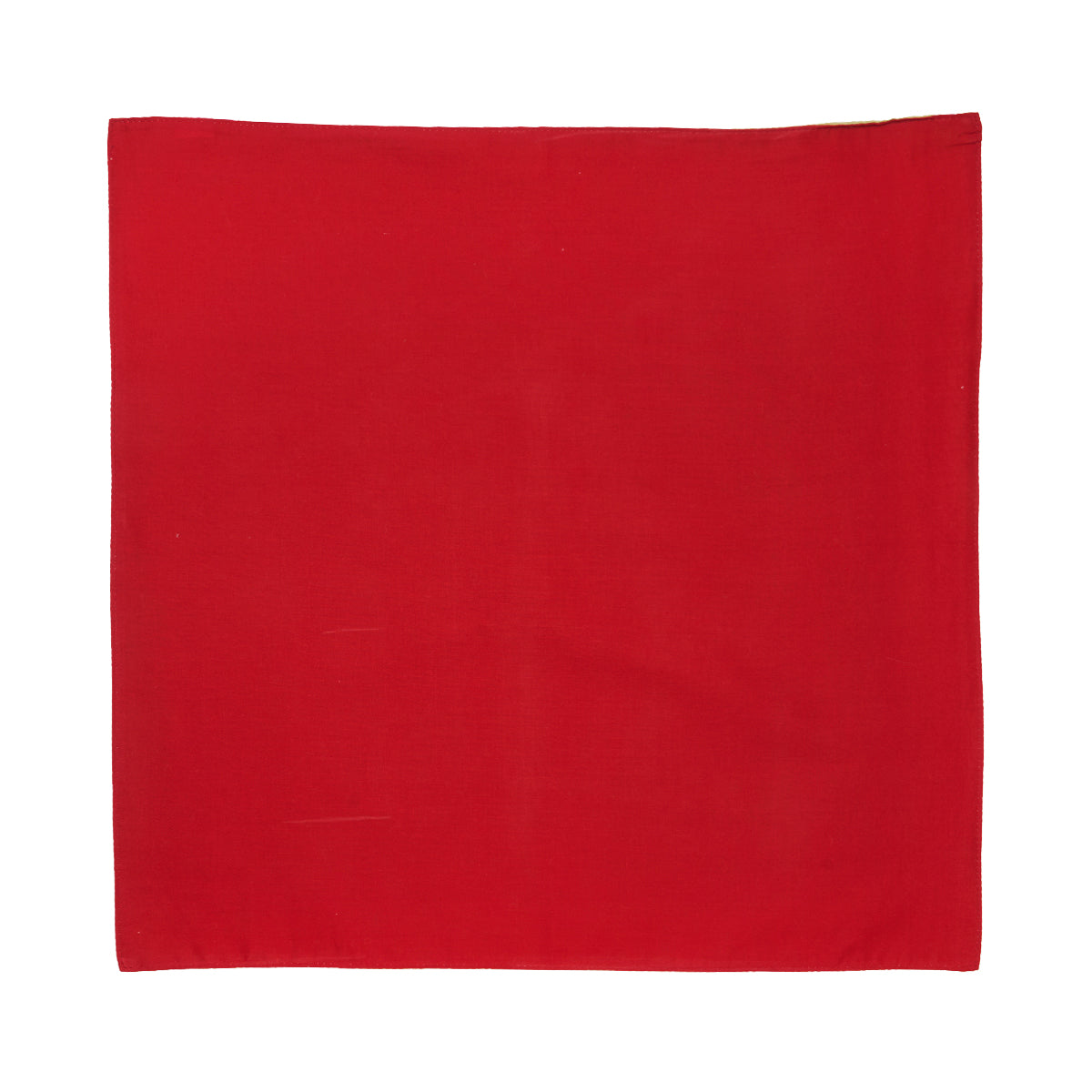 Red & Green Napkin