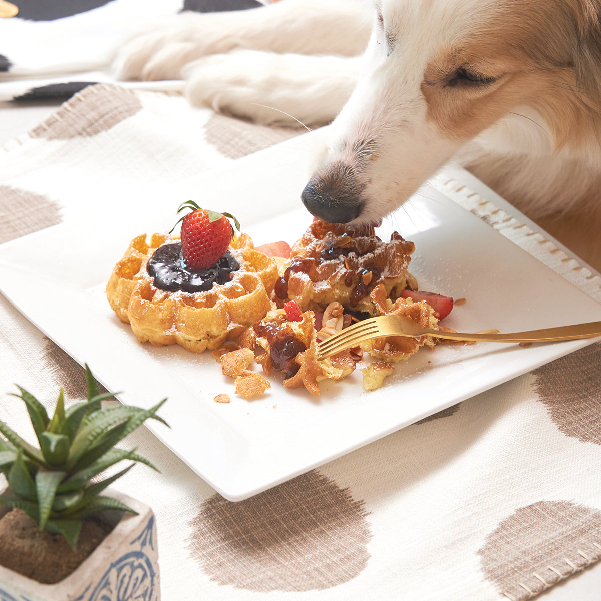 dot table linens