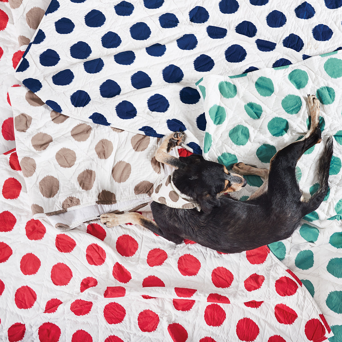 dot pet quilt