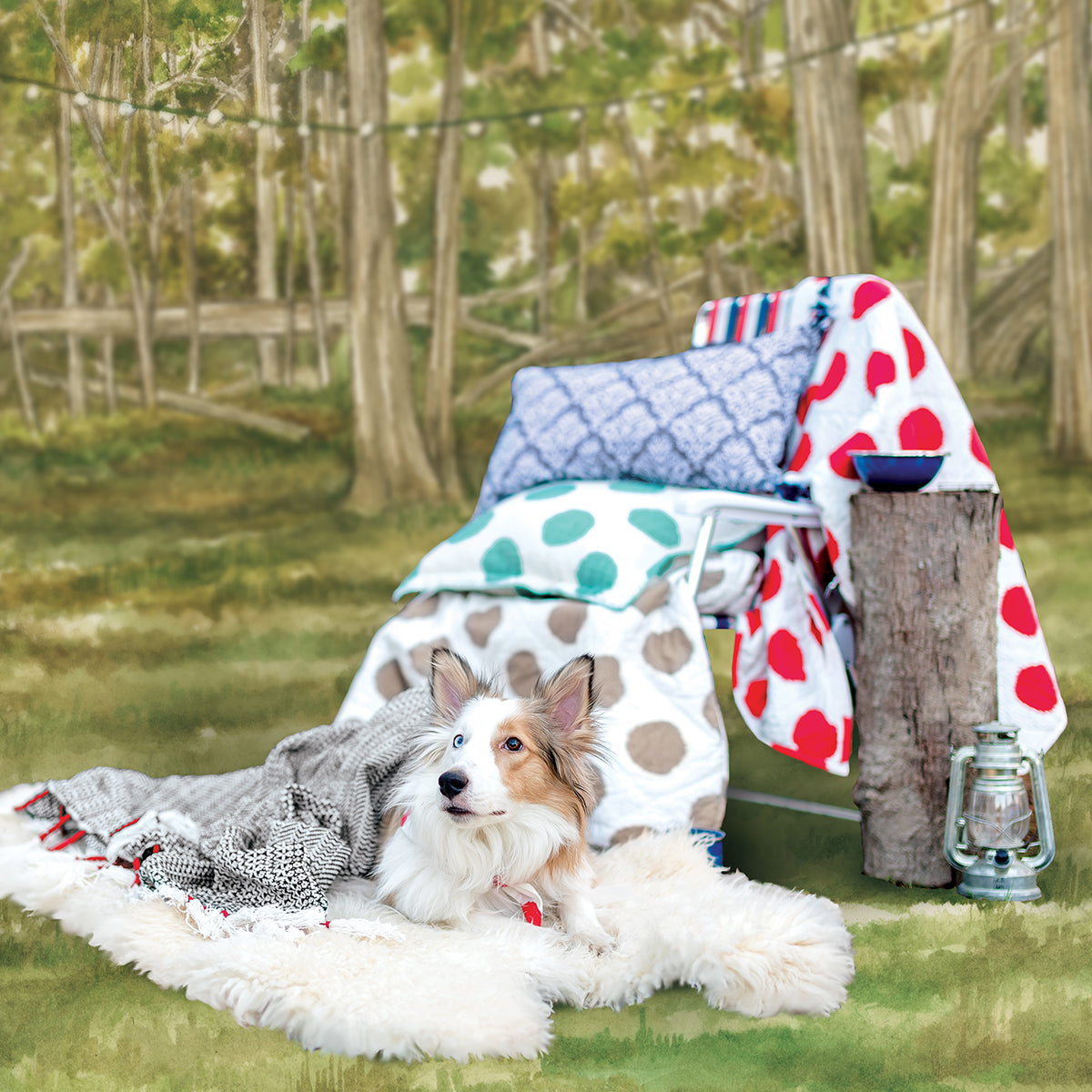 dot pet quilt