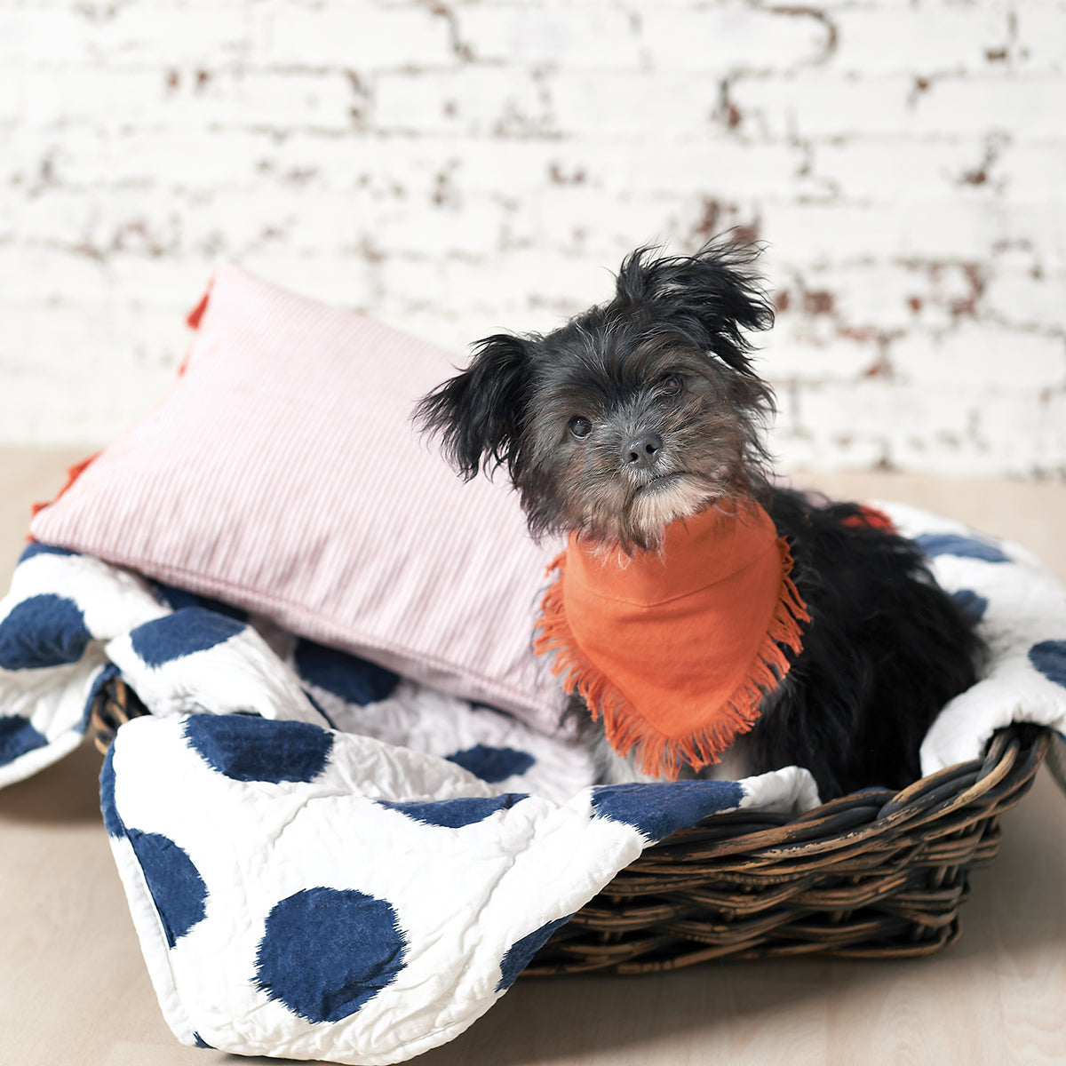 Dot Indigo Pet Quilt