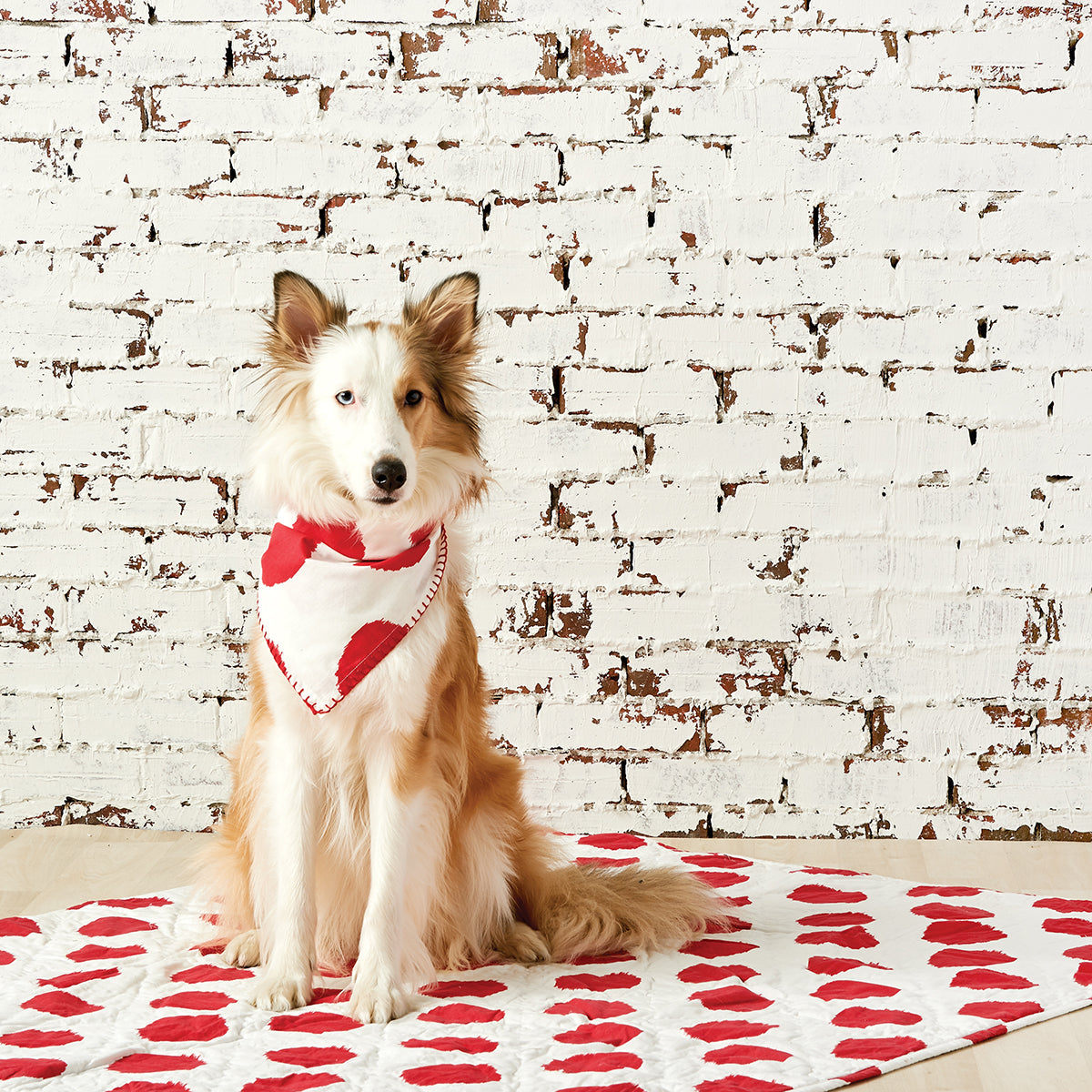 Dot Tomato Pet Quilt