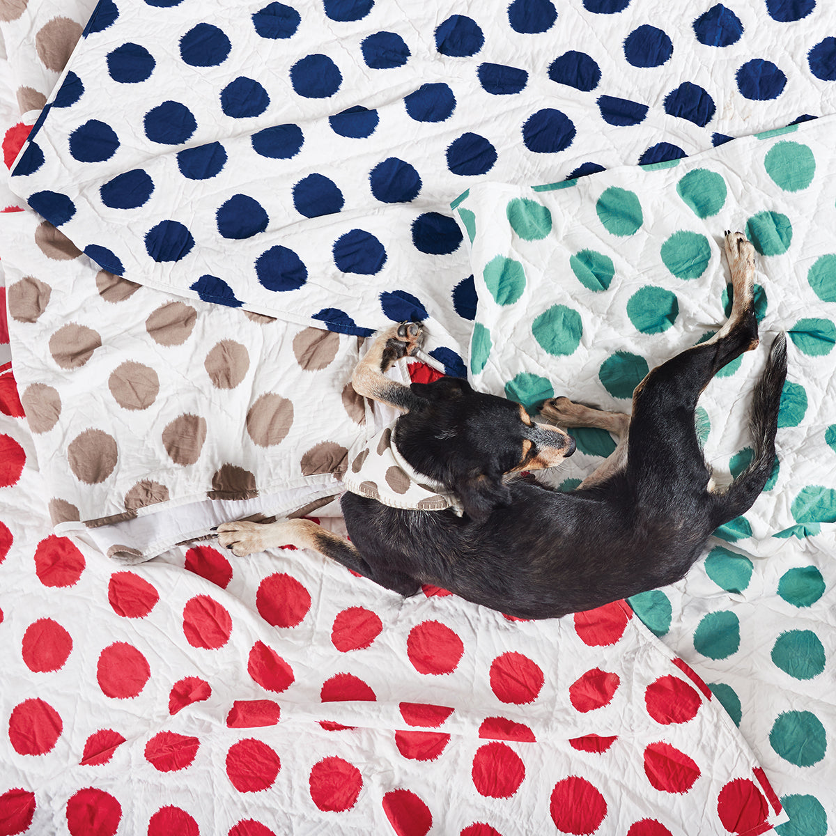 Dot Tomato Pet Quilt