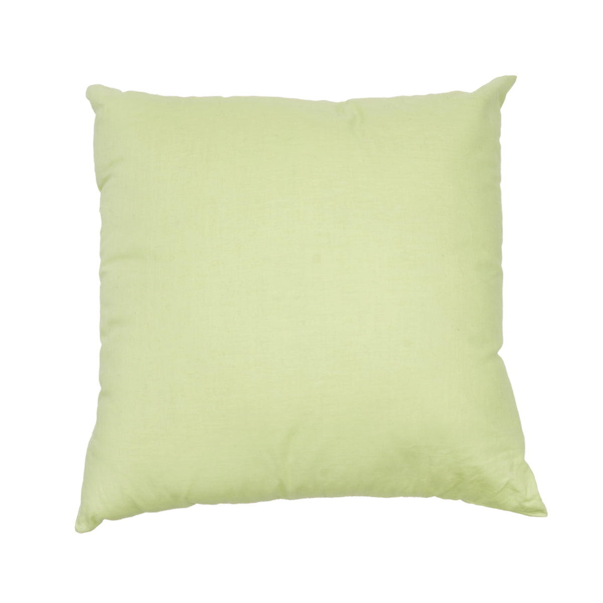 Green Shell Pillow