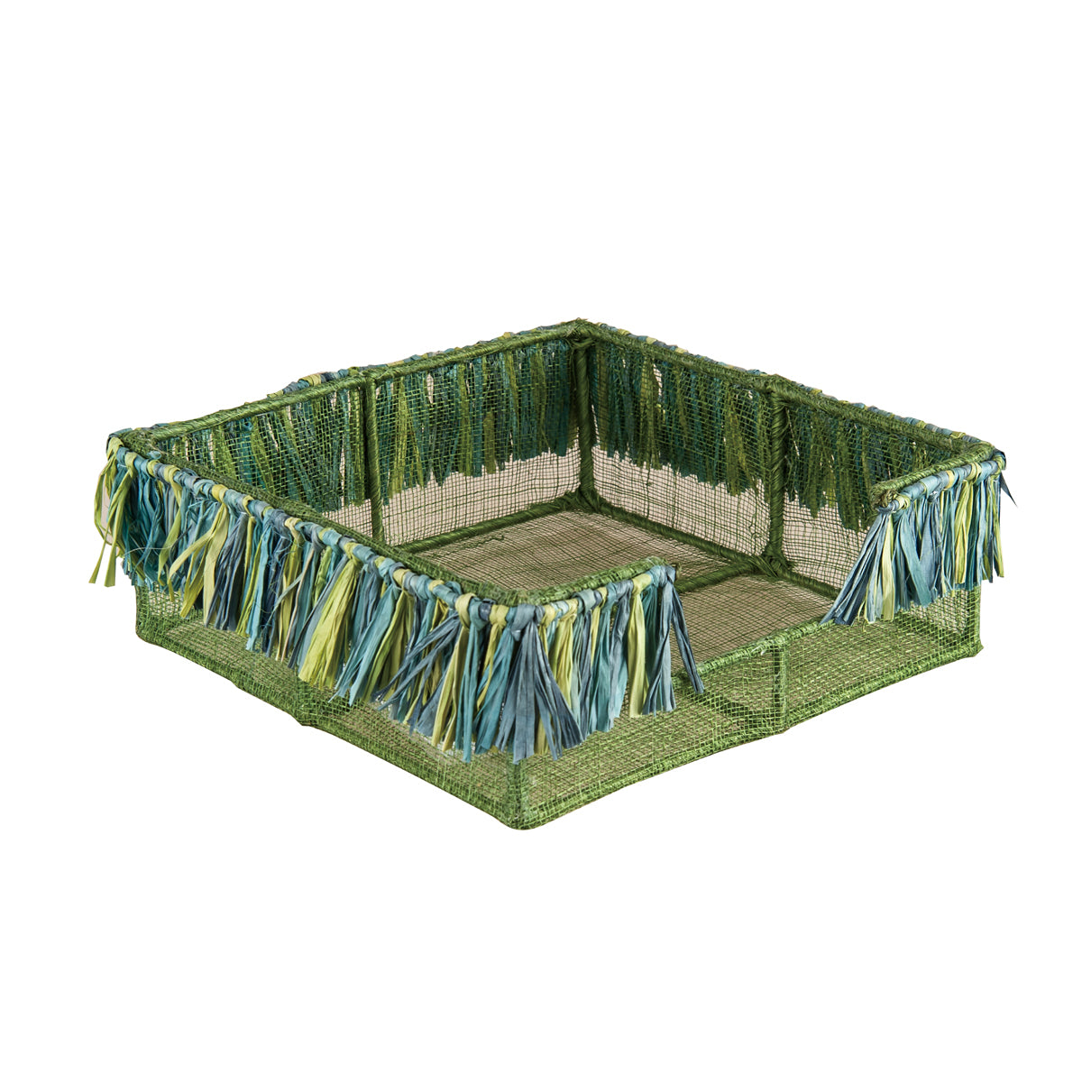 Blue/Lime Fringe Napkin Holder