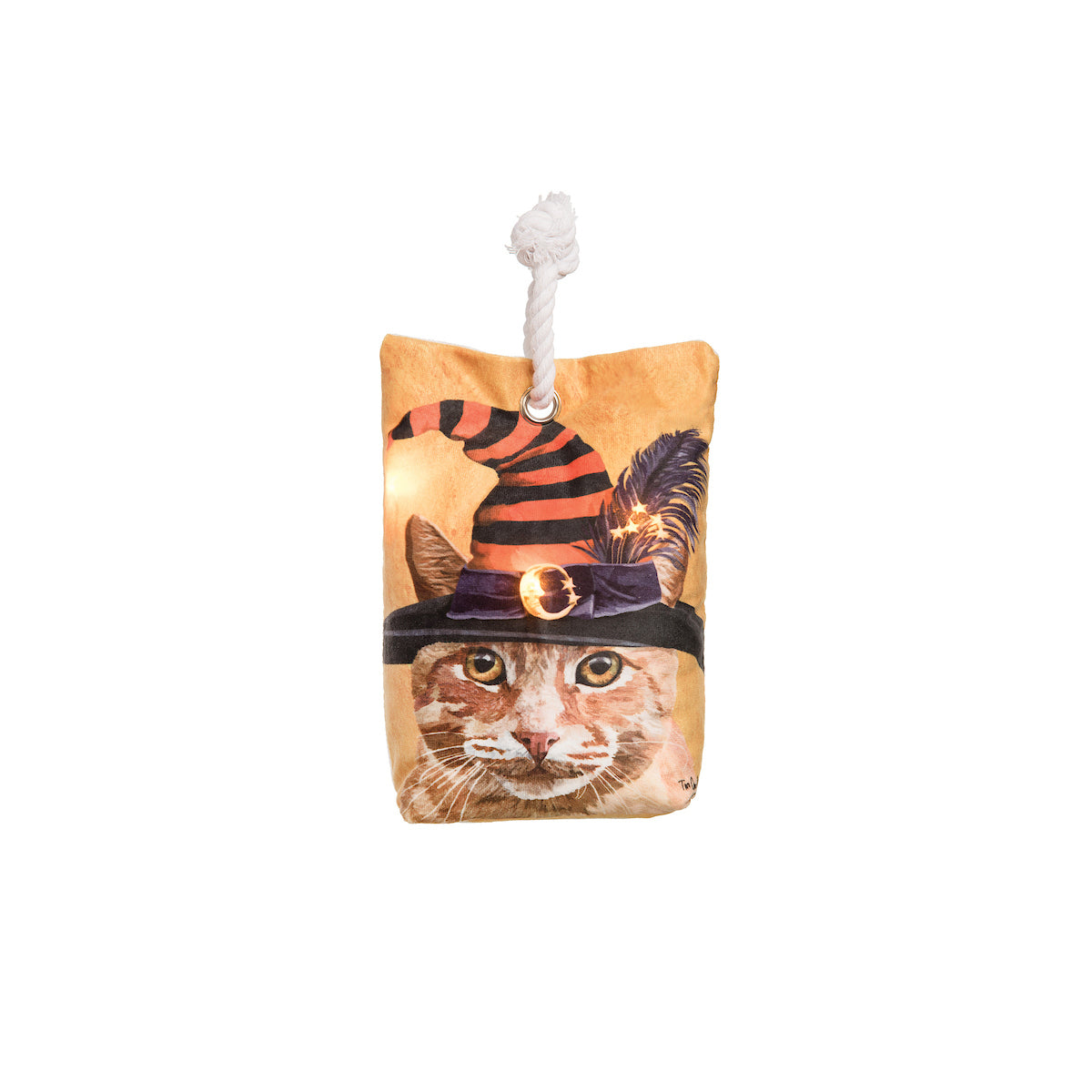 Witch Cat-Chunk LED Doorstop