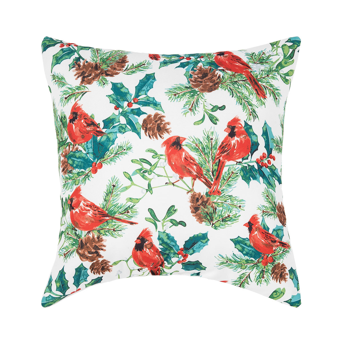 Delwyn Cardinal Indoor Outdoor Pillow
