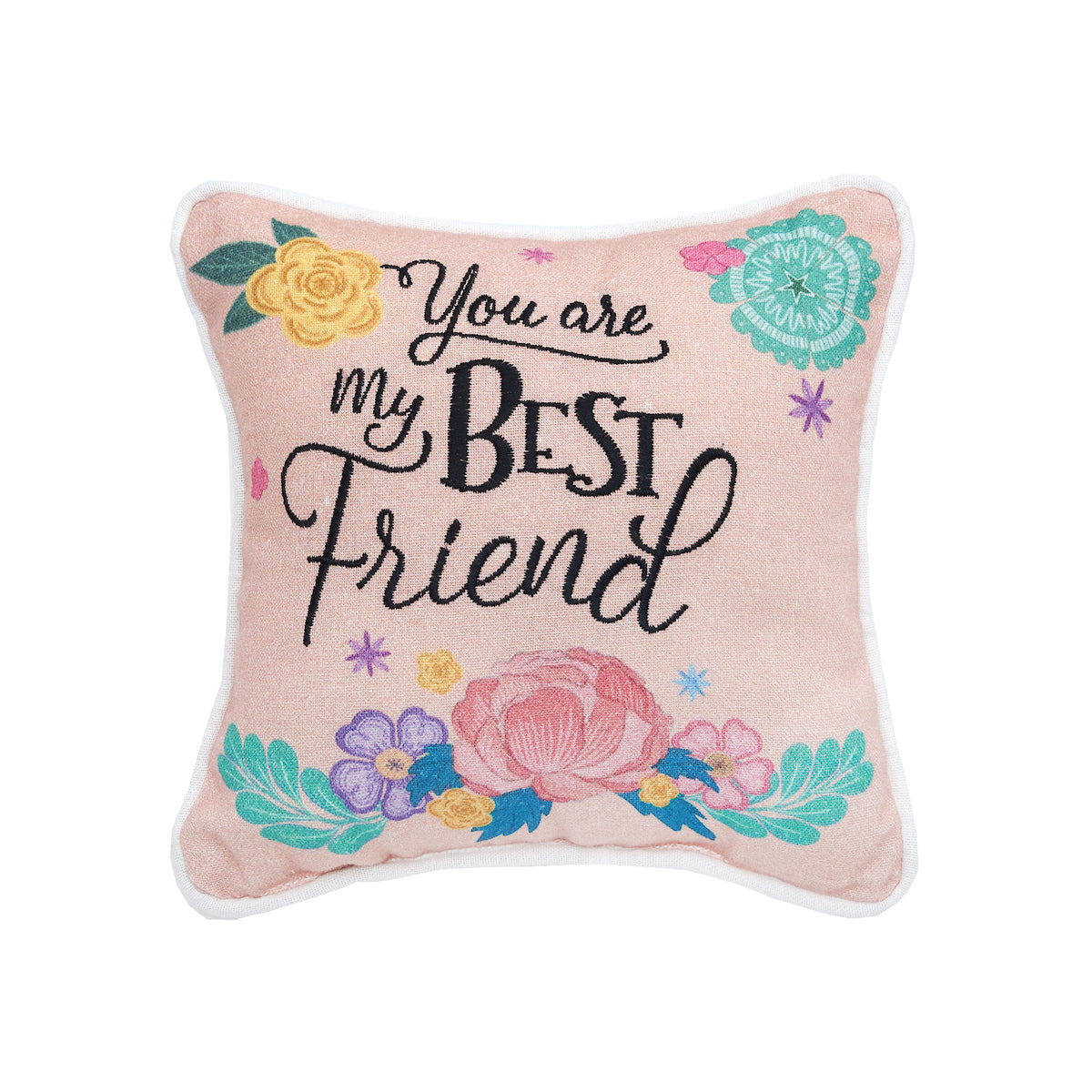 You Are My Best Friend Mini Pillow