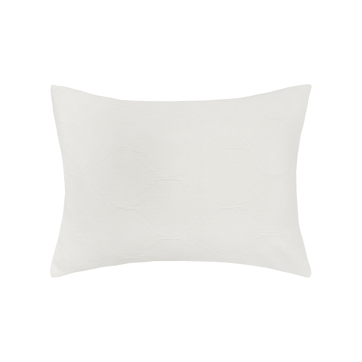 Elaine Euro Sham