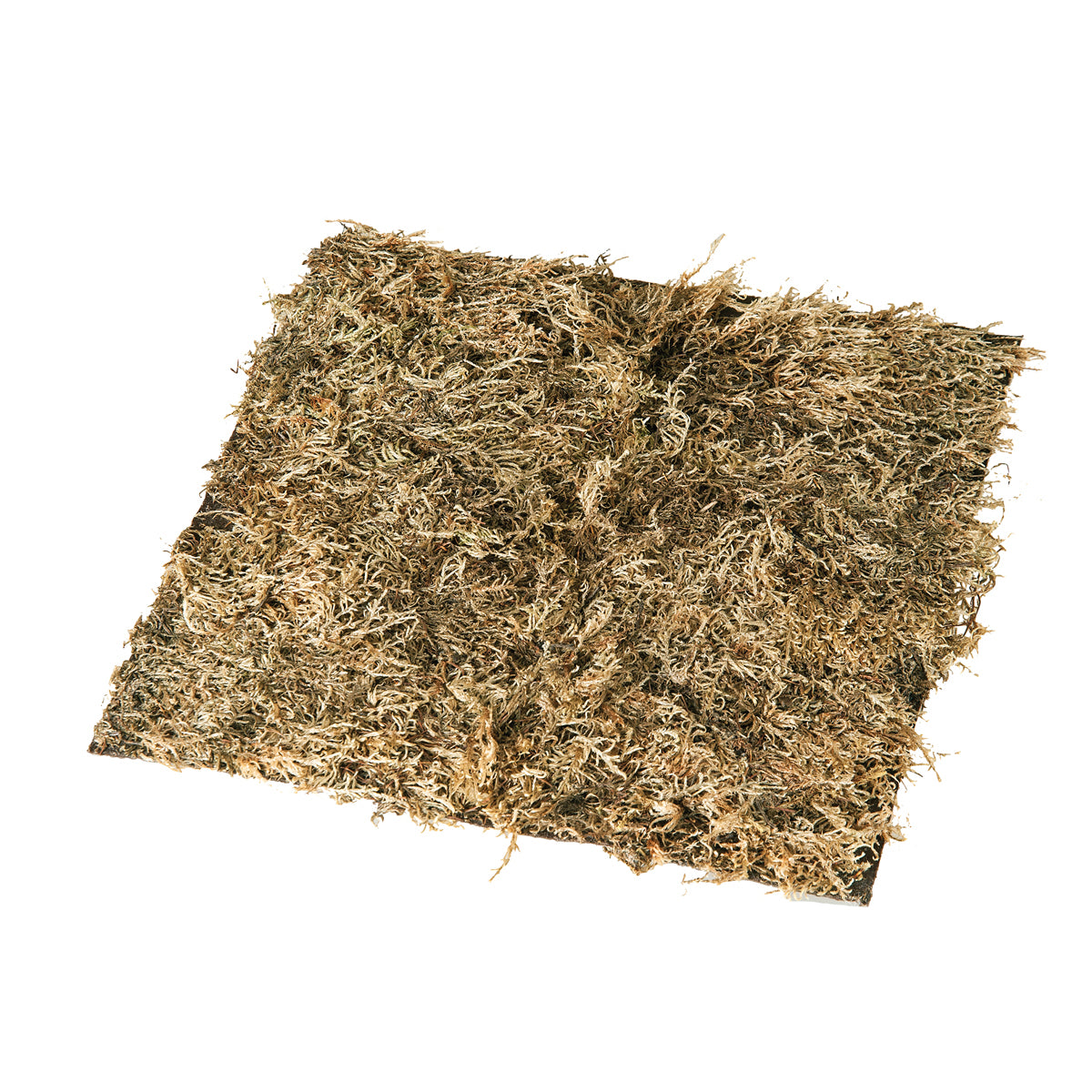 Moss Square Mat
