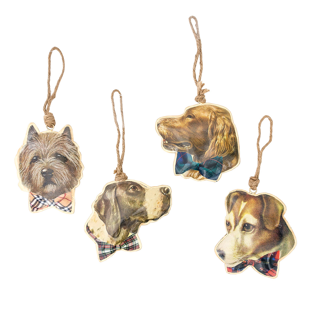 Dapper Dog Ornaments, Asst. of 4