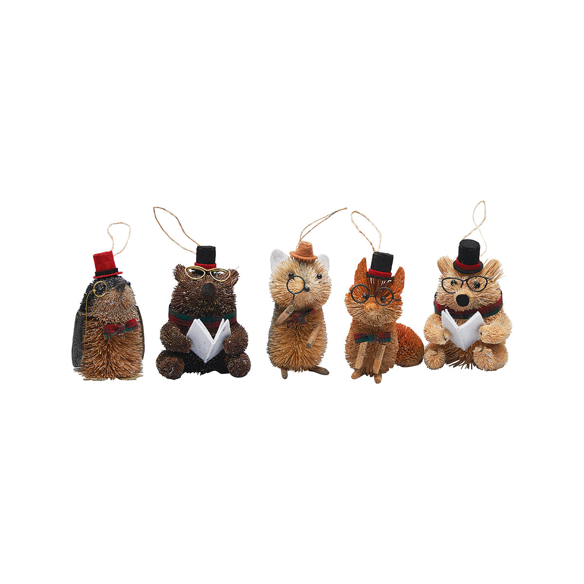 Woodland Scholar Ornaments, Asst. of 5