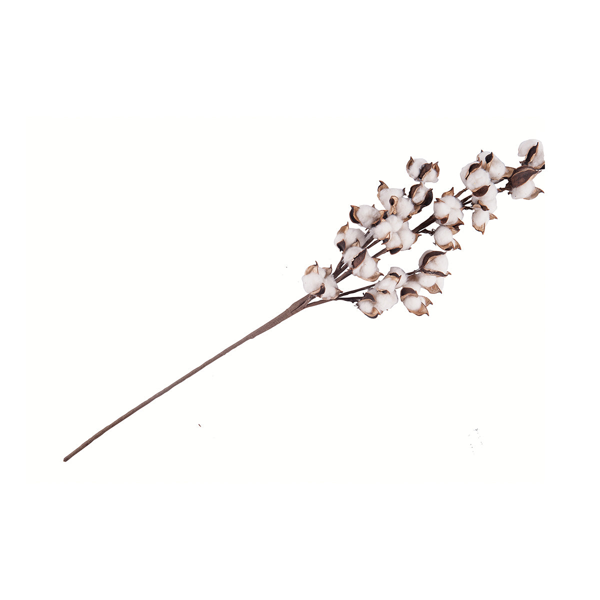 Cotton Plant Pick