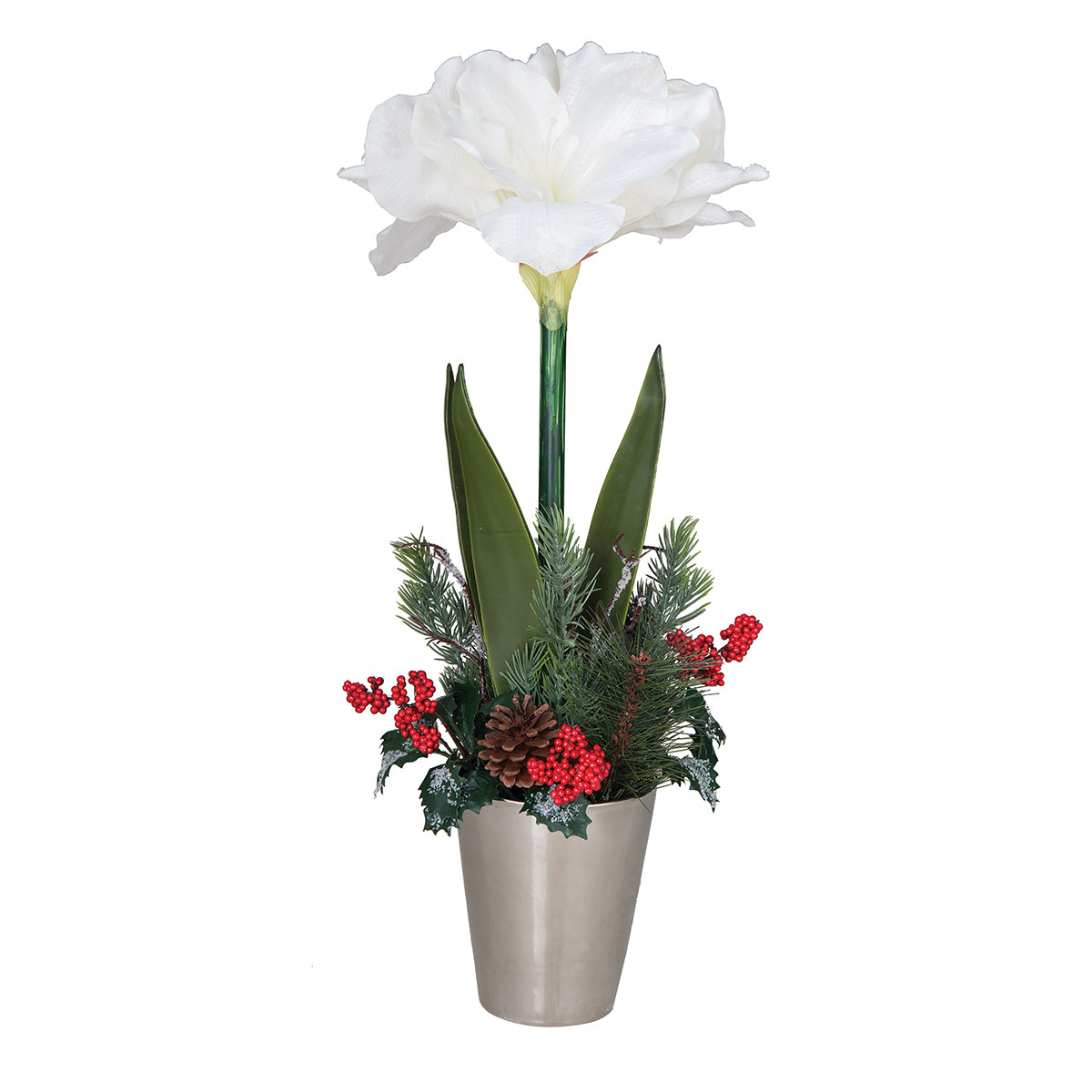 Holiday Amaryllis in Pot