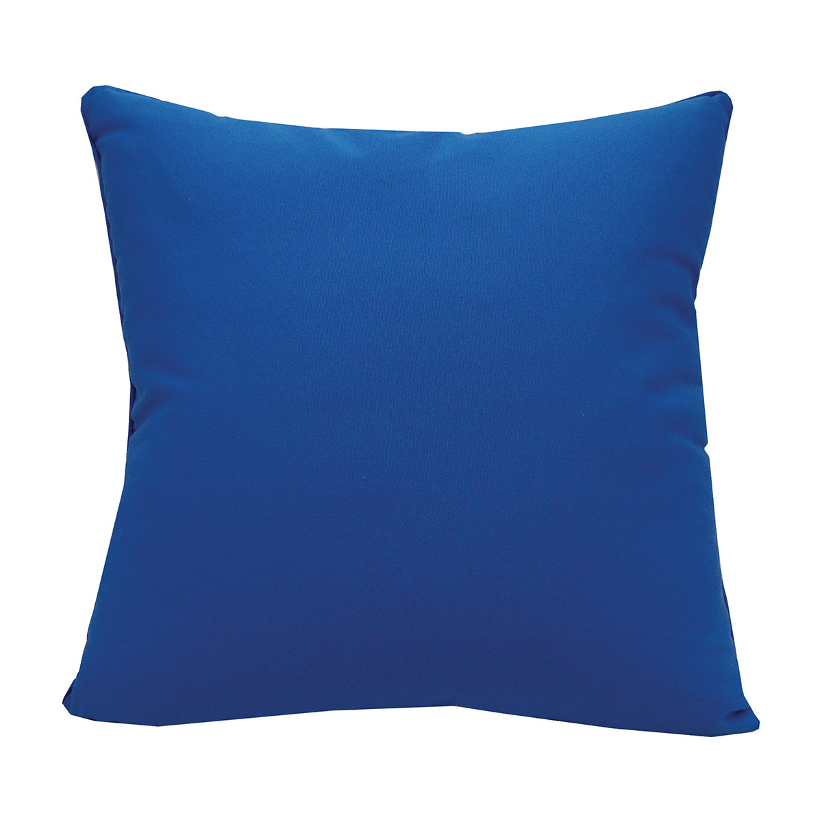 Blue Dragonfly Indoor Outdoor Pillow