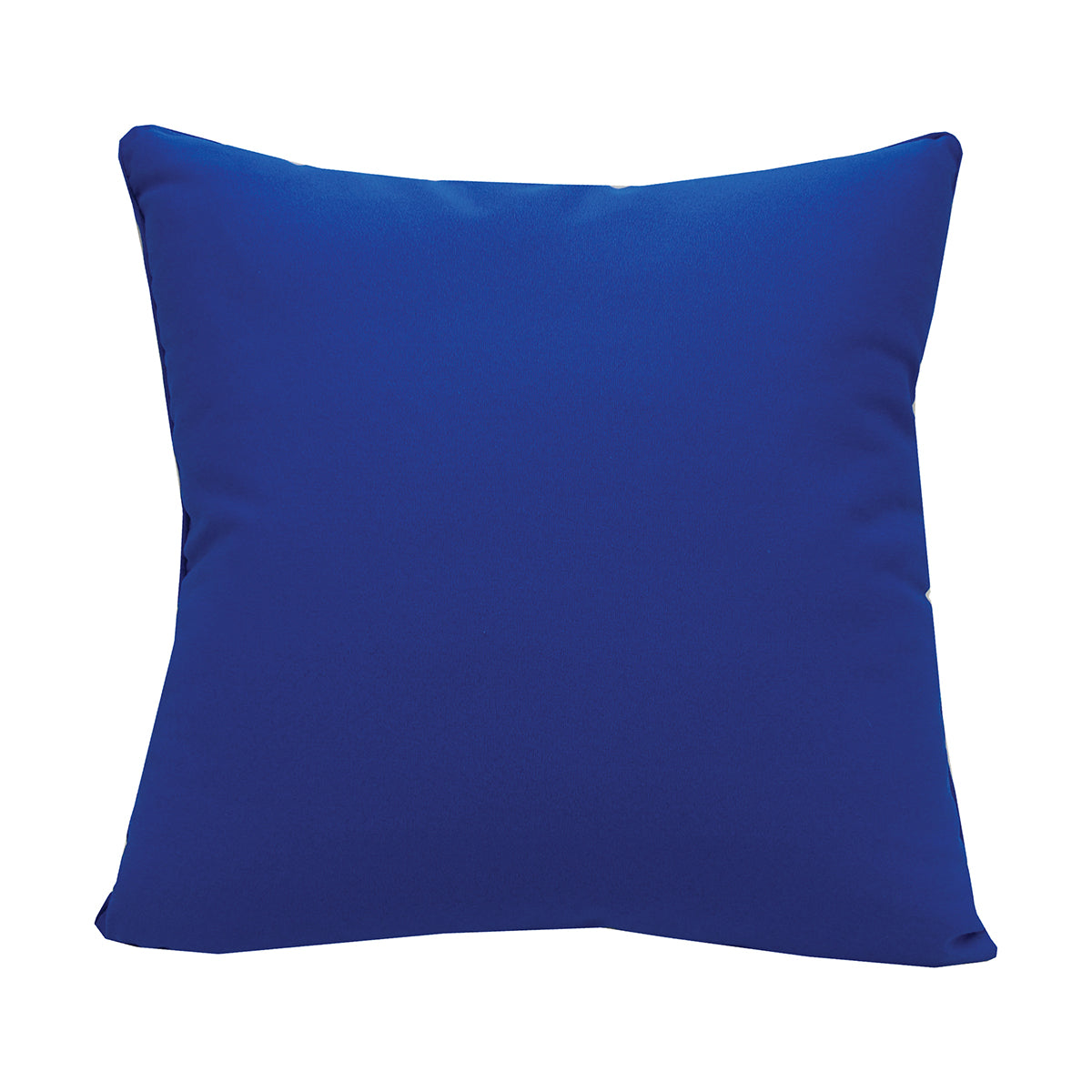 Bold Blue Butterfly Indoor Outdoor Pillow
