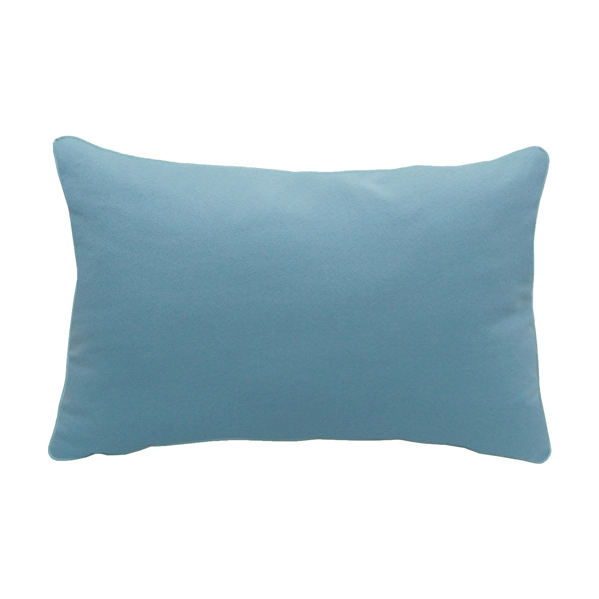 Chameleon Indoor Outdoor Pillow