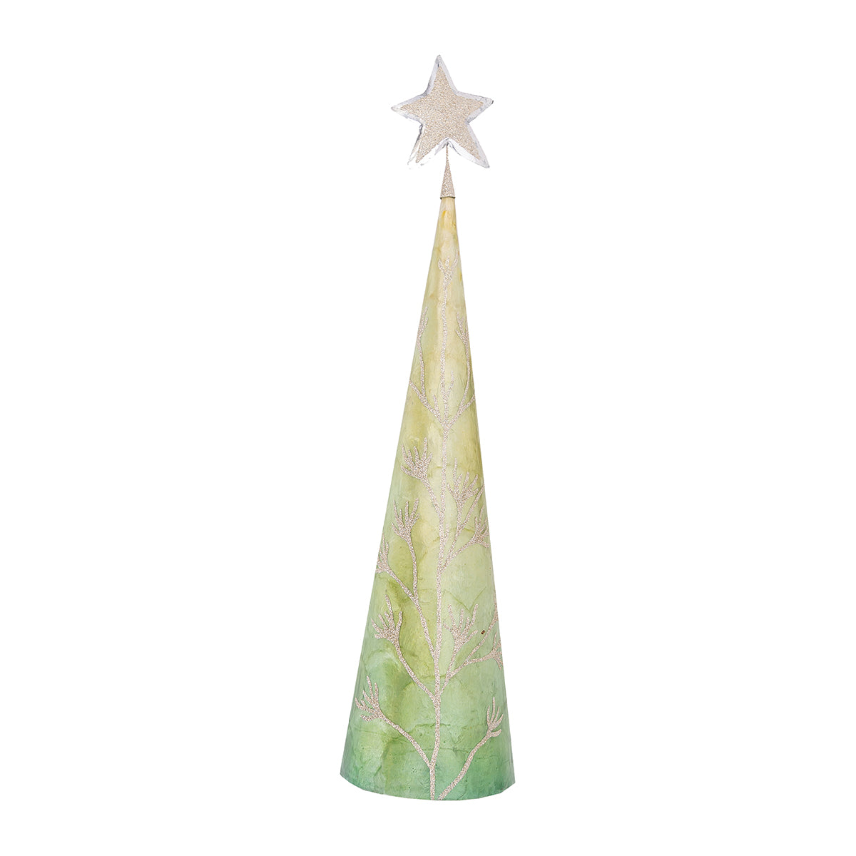 Silver Leaf Coastal Tree