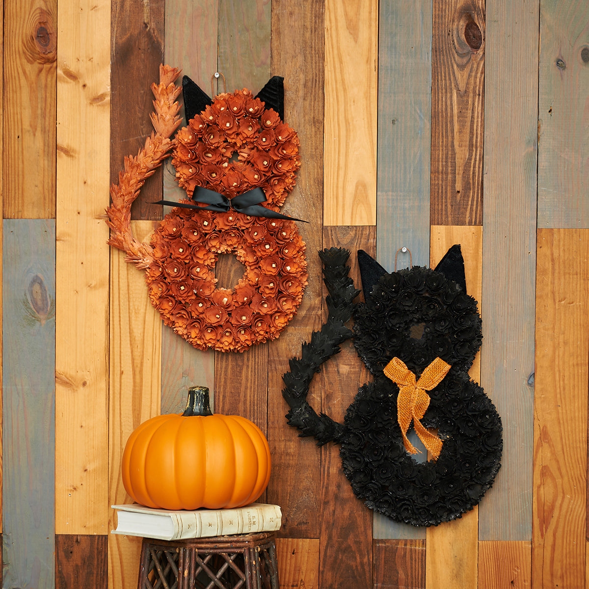 Orange and Black Cat, Asst. of 2